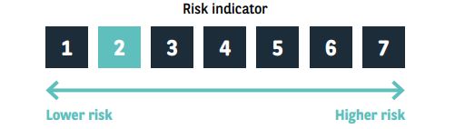 risk indicator
